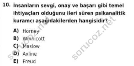 auzef cocukgelisimlisans 98 10