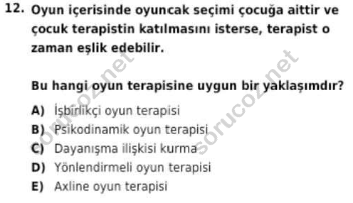 auzef cocukgelisimlisans 98 12