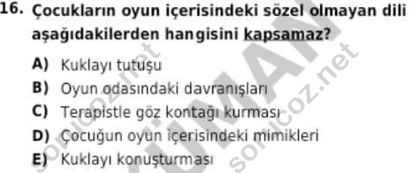 auzef cocukgelisimlisans 98 16