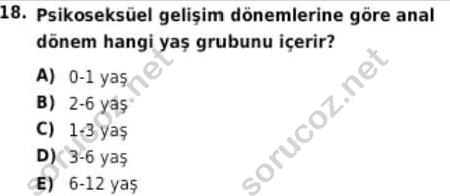 auzef cocukgelisimlisans 98 18