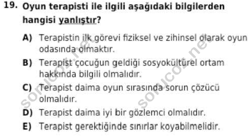 auzef cocukgelisimlisans 98 19