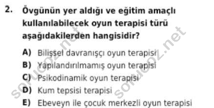 auzef cocukgelisimlisans 98 2