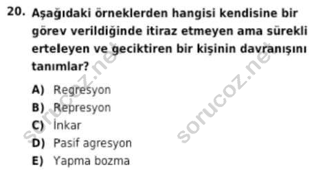 auzef cocukgelisimlisans 98 20