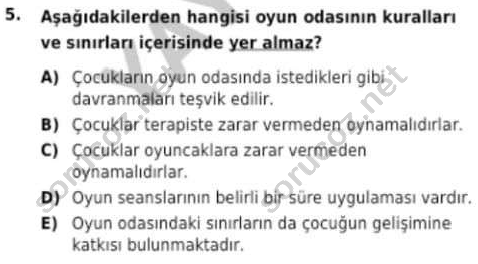 auzef cocukgelisimlisans 98 5