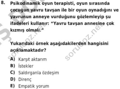 auzef cocukgelisimlisans 98 8