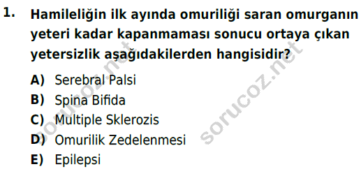 auzef cocukgelisimlisans 74 1