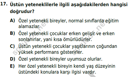 auzef cocukgelisimlisans 74 17