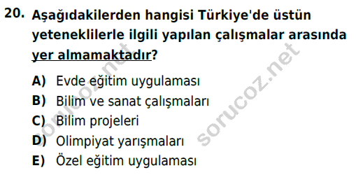 auzef cocukgelisimlisans 74 20