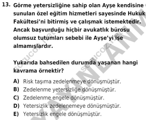 auzef cocukgelisimlisans 74 13