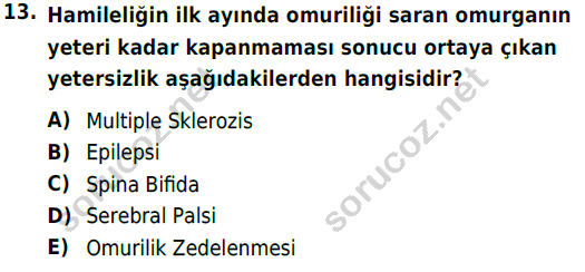 auzef cocukgelisimlisans 74 13