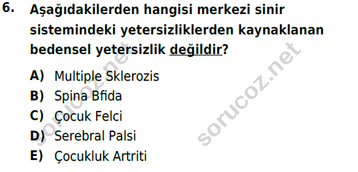 auzef cocukgelisimlisans 74 6