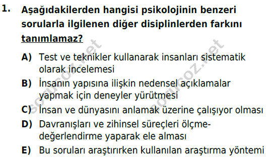 auzef cocukgelisimlisans 54 1