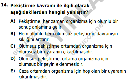 auzef cocukgelisimlisans 54 14