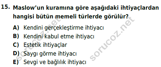 auzef cocukgelisimlisans 54 15