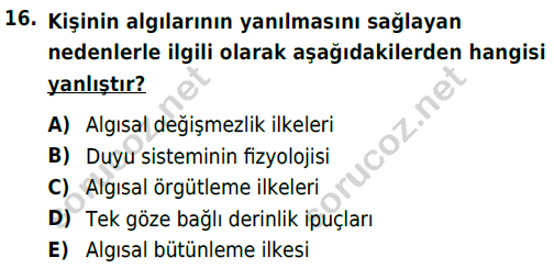 auzef cocukgelisimlisans 54 16