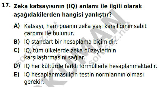 auzef cocukgelisimlisans 54 17