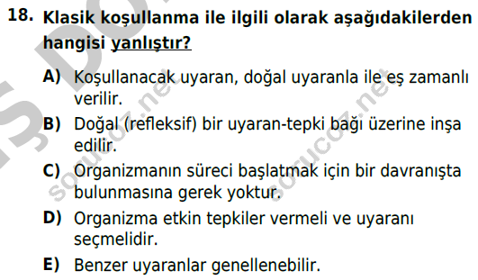 auzef cocukgelisimlisans 54 18