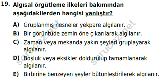 auzef cocukgelisimlisans 54 19