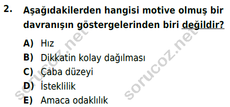 auzef cocukgelisimlisans 54 2