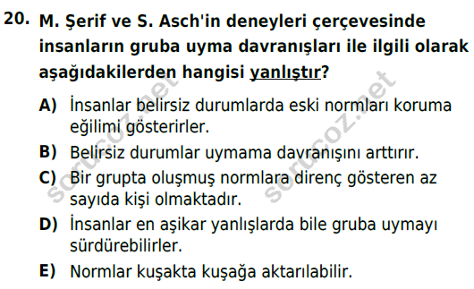 auzef cocukgelisimlisans 54 20