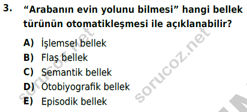 auzef cocukgelisimlisans 54 3