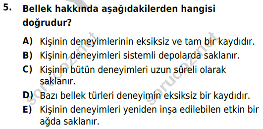 auzef cocukgelisimlisans 54 5