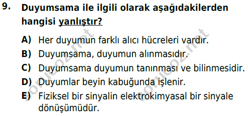 auzef cocukgelisimlisans 54 9