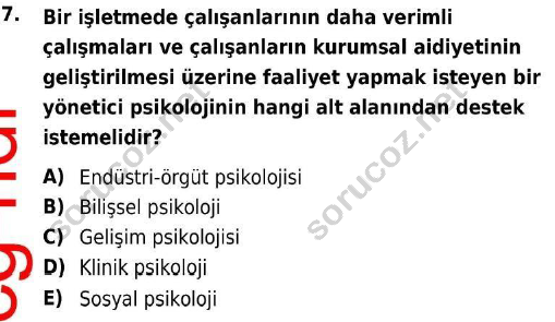 auzef 001301