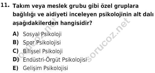auzef cocukgelisimlisans 54 11