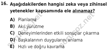 auzef cocukgelisimlisans 54 16