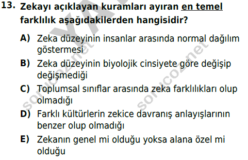 auzef cocukgelisimlisans 54 13