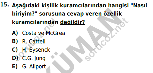 auzef cocukgelisimlisans 54 15