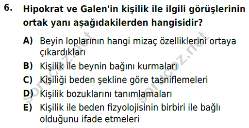 auzef cocukgelisimlisans 54 6