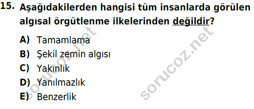 auzef 003377