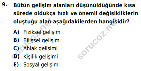 auzef 003279