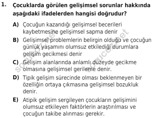 auzef cocukgelisimlisans 84 1