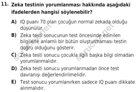 auzef cocukgelisimlisans 84 11