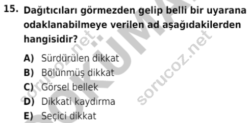 auzef cocukgelisimlisans 84 15