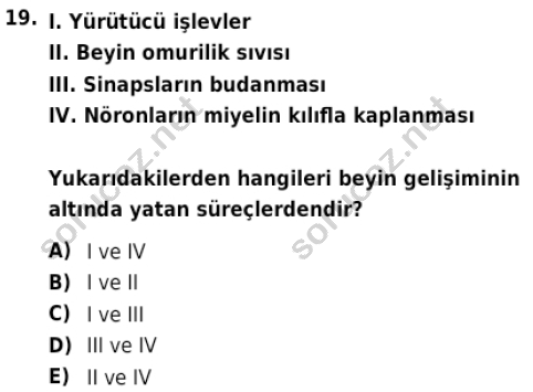 auzef cocukgelisimlisans 84 19
