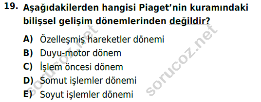 auzef cocukgelisimlisans 84 19