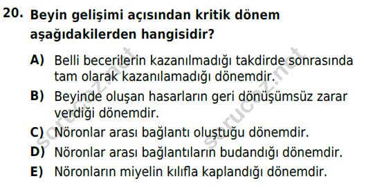 auzef cocukgelisimlisans 84 20