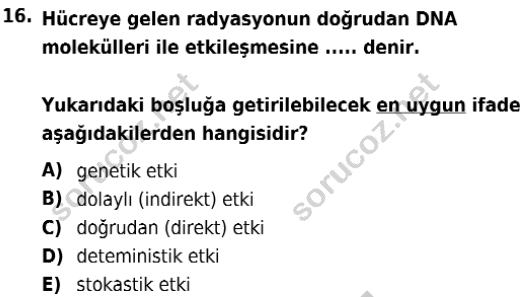 auzef isglisans 366 16