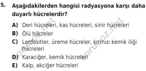 auzef isglisans 366 5