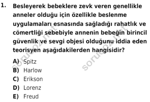 auzef cocukgelisimlisans 85 1