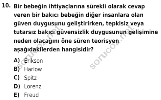 auzef cocukgelisimlisans 85 10