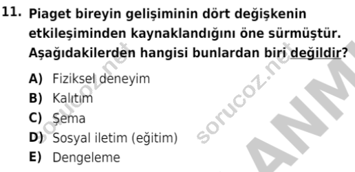 auzef cocukgelisimlisans 85 11