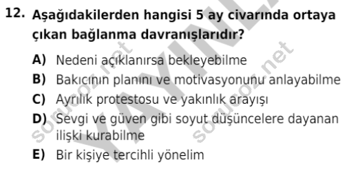 auzef cocukgelisimlisans 85 12