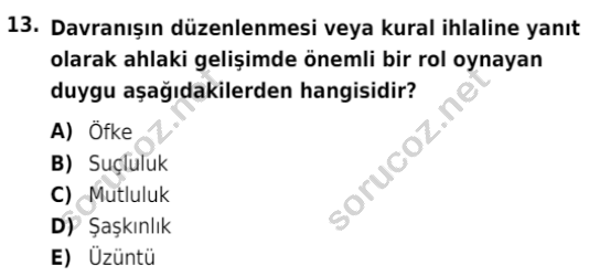 auzef cocukgelisimlisans 85 13