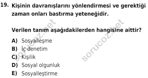 auzef cocukgelisimlisans 85 19