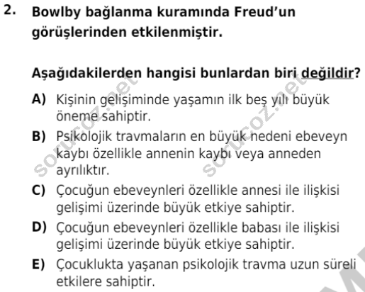 auzef cocukgelisimlisans 85 2